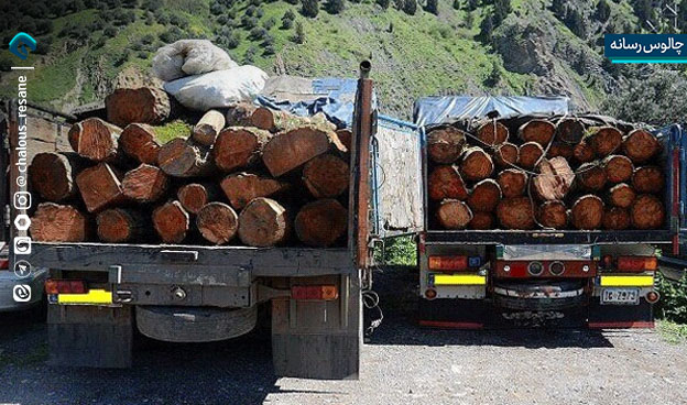 جنگل‌بانان؛ قهرمانان سبز و سنگربانان بی‌ ادعا