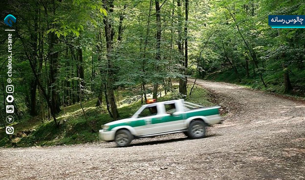 جنگل‌بانان؛ قهرمانان سبز و سنگربانان بی‌ ادعا