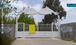 اکولوژی، نفس خزر؛ یکی که برود، دیگری می‌میرد