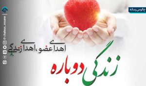 هدیه‌ای از جنس حیات