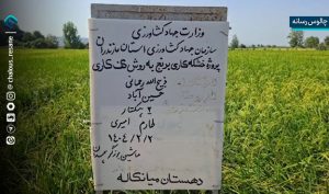 روش خشکه‌کاری برنج