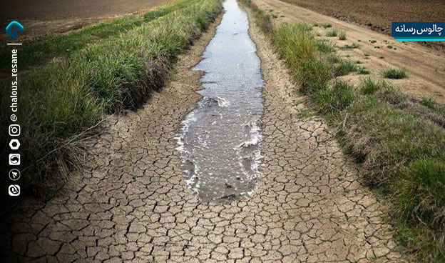 شالیزارهای تشنه و بازار پرنوسان!