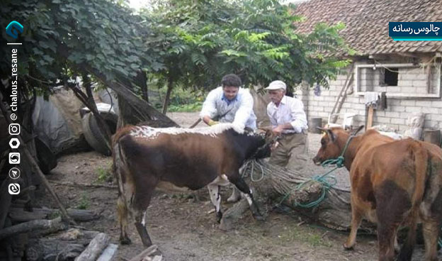 بیماری هاری در منطقه دودانگه مهار شد