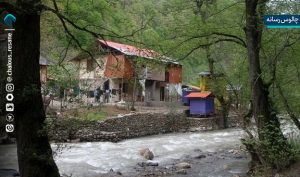 غیر قانونی بودن اجاره بستر رودخانه چالوس 