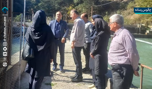 بازدید از مزارع پرورش ماهی سردآبی چالوس