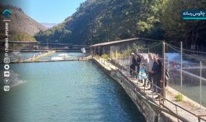 بازدید از مزارع پرورش ماهی سردآبی چالوس