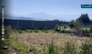 زمین‌خواری سازمان‌ یافته در چالوس