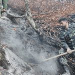 شعله ور شدن دوباره آتش در ارتفاعات چالوس