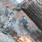 اعزام 4 تیم برای مهار آتش جنگل الیت