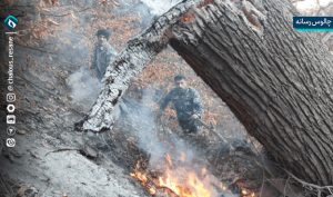 اعزام 4 تیم برای مهار آتش جنگل الیت