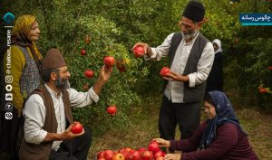 اناری که جهان ارزشش را می‌داند