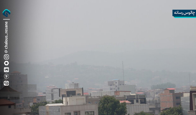 چالوس ناسالم برای گروه های حساس