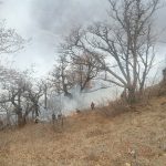 برای مهار آتش الیت به هلیکوپتر و پایگاه‌های محلی نیاز داریم