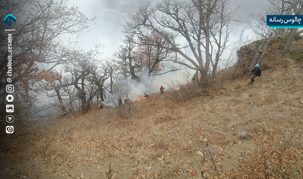 اطفای حریق آتش سوزی جنگل های الیت