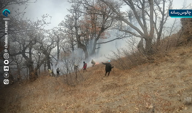 اطفای حریق آتش سوزی جنگل های الیت