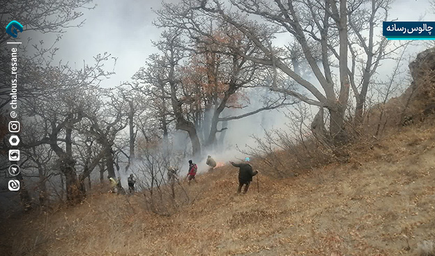 اطفای حریق آتش سوزی جنگل های الیت