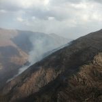 مشایخ: منطقه آتش سوزی جنگل الیت صخره ای است