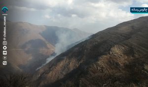 مشایخ: منطقه آتش سوزی جنگل الیت صخره ای است