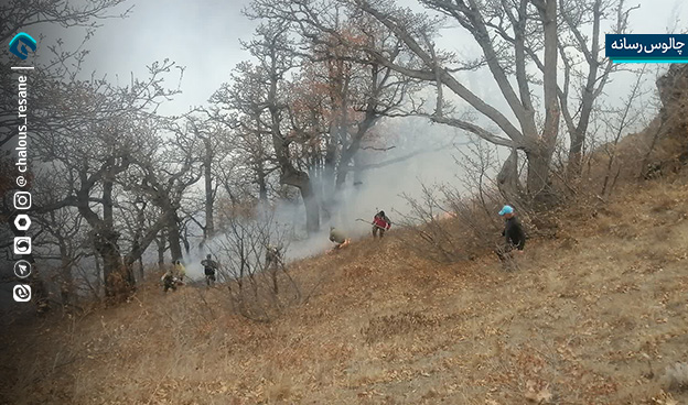 اطفای حریق آتش سوزی جنگل های الیت