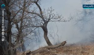 بارش‌ها اثری در خاموشی آتش الیت نداشت!