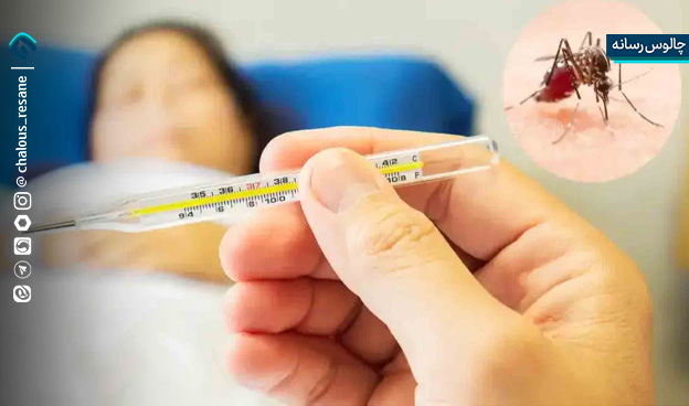 ضرورت هوشیاری عمومی در برابر تب دِنگی