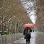 بارش‌های رگباری در راه مازندران