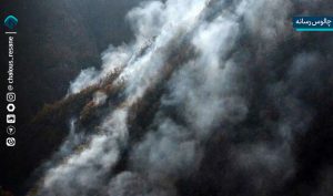 آیا حریق جنگل‌های چالوس عمدی بود؟