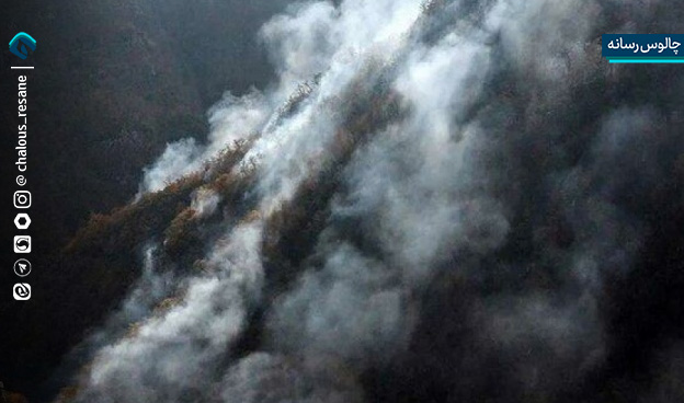 آیا حریق جنگل‌های چالوس عمدی بود؟