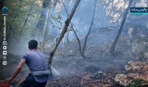 آتش‌های مرموز؛ نبرد پنهان برای نابودی جنگل‌های ایران