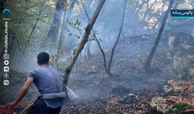 آتشهای مرموز؛ نبرد پنهان برای نابودی جنگلهای ایران