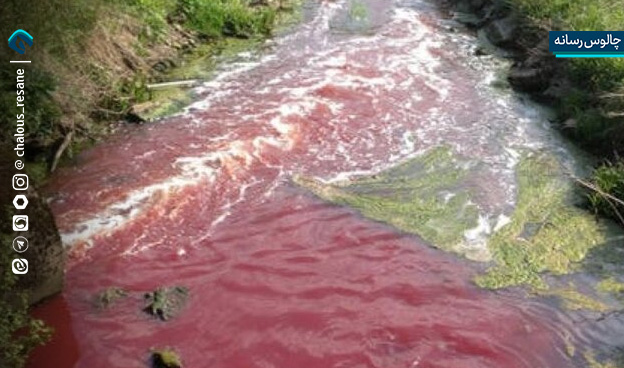 کشتارگاه نوشهر در محاکمه محیط زیست