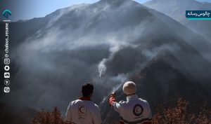 پاسخ محیط زیست به مجلس درباره آتش‌سوزی جنگل‌های الیت