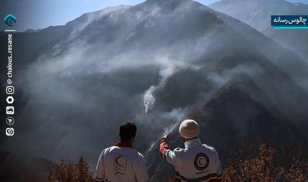 پاسخ محیط زیست به مجلس درباره آتشسوزی جنگلهای الیت