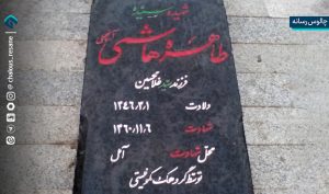 آمل در آتش و خون می‌سوخت