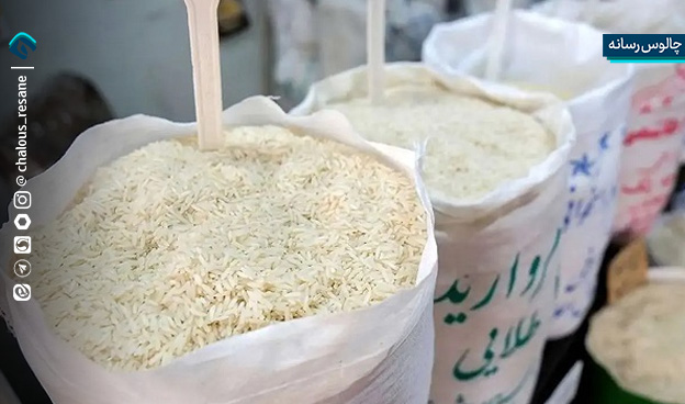 شالیکوبی؛ صنعتی که چشم‌ انتظار حمایت است