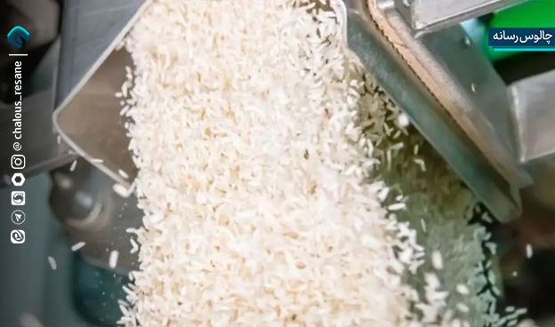 شالیکوبی؛ صنعتی که چشم‌ انتظار حمایت است