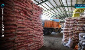 کشف 3000 تن برنج احتکاری تا دستگیری کلاهبردار برنجی!