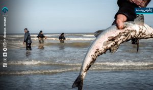 چشم‌ انتظاری صیادان مازندران برای پایان چله‌خشکی