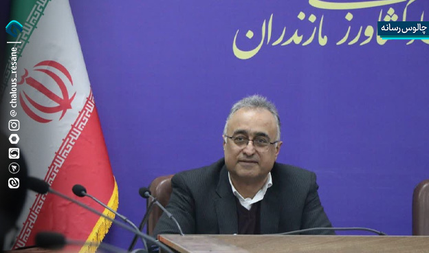 ثبات در بازار مرغ با تامین 12هزار تُن نهاده دامی