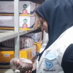 نظارت مستمر دامپزشکی چالوس حتی در روزهای تعطیل