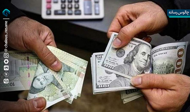 حذف ارز ترجیحی یک جراحی بزرگ اقتصادی است