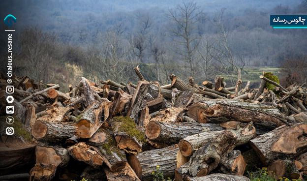 راه‌اندازی پایگاه هوشمند مقابله با قاچاق چوب