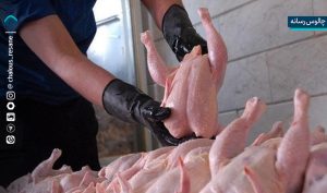 آغاز روند کاهشی قیمت مرغ، تخم‌مرغ و شیر در بازار