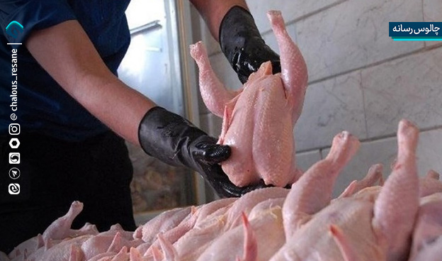 آغاز روند کاهشی قیمت مرغ، تخم‌مرغ و شیر در بازار