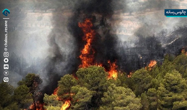 هشدار آتش‌سوزی در جنگل‌های هیرکانی