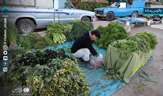 گزارش تصویری جمعه بازار چالوس