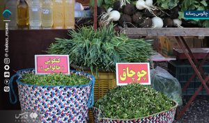 گزارش تصویری جمعه بازار چالوس