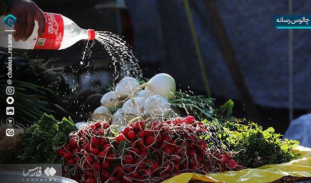گزارش تصویری جمعه بازار چالوس