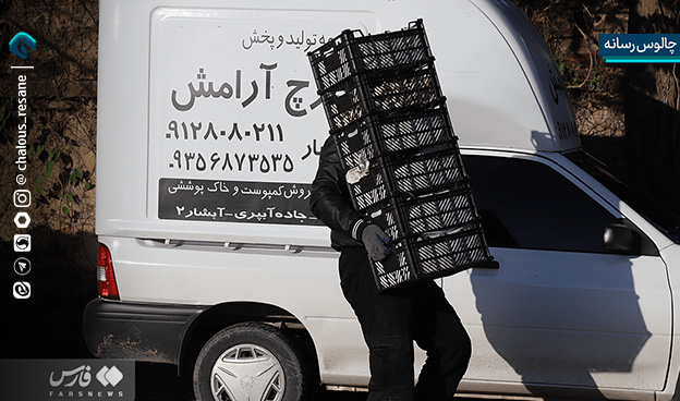 گزارش تصویری جمعه بازار چالوس