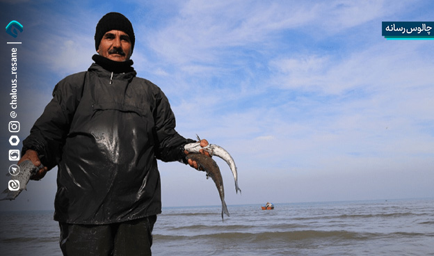 رونق تورهای صیادان مازندران